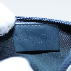 Dior Saddle