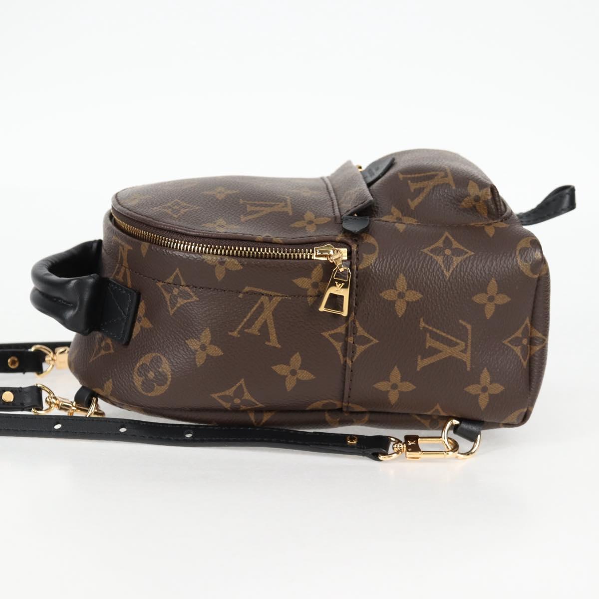 Louis Vuitton Palm Springs mini