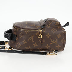 Louis Vuitton Palm Springs mini