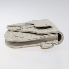 Dior Saddle Dior Oblique