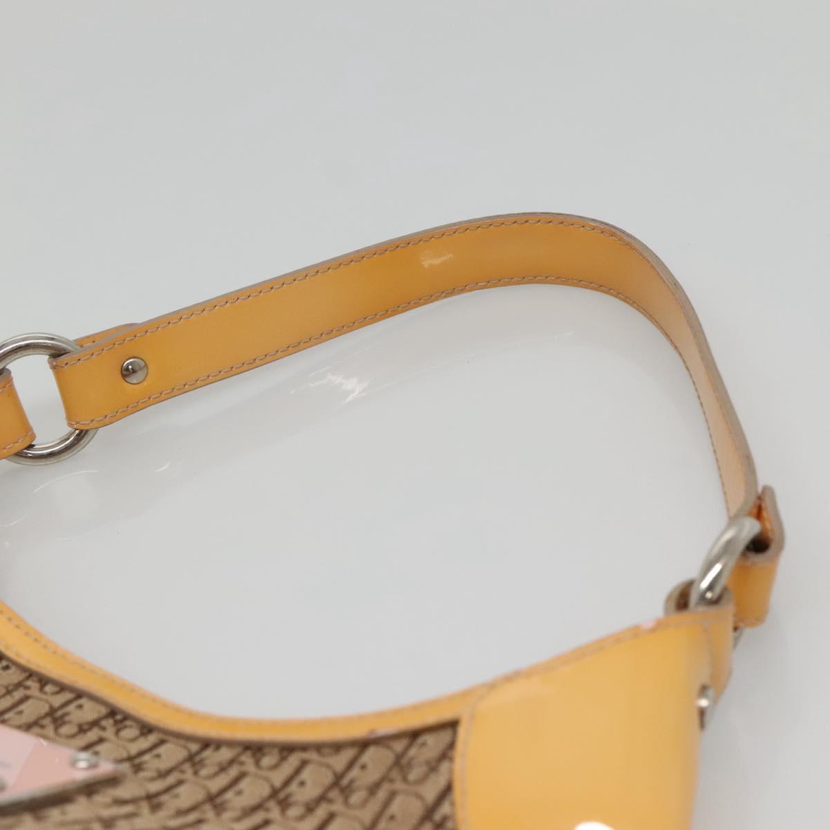 Dior Street Chic Hobo