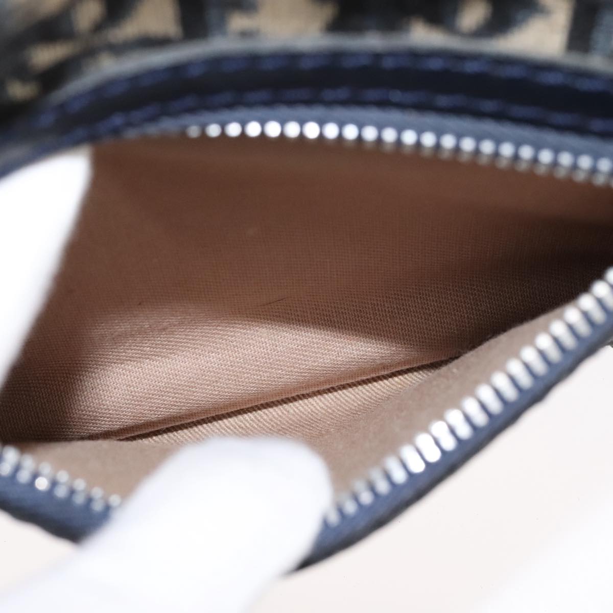 Dior Trotter