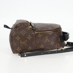 Louis Vuitton Palm Springs mini