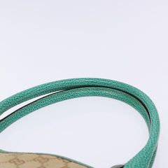 Gucci GG canvas