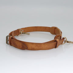 Louis Vuitton Shoulder strap
