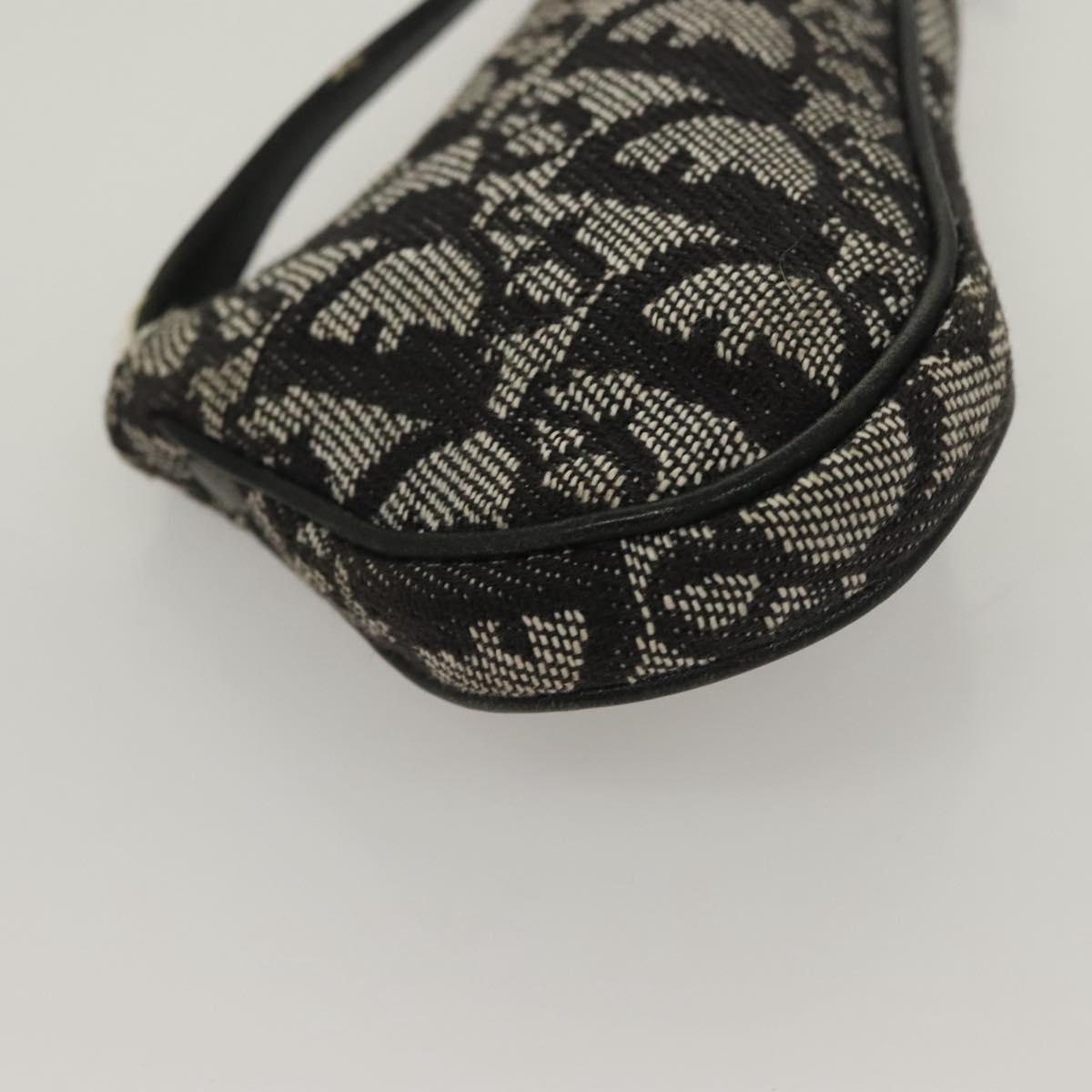 Dior Saddle