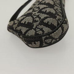 Dior Saddle