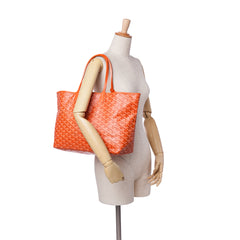 Goyardine Saint Louis PM