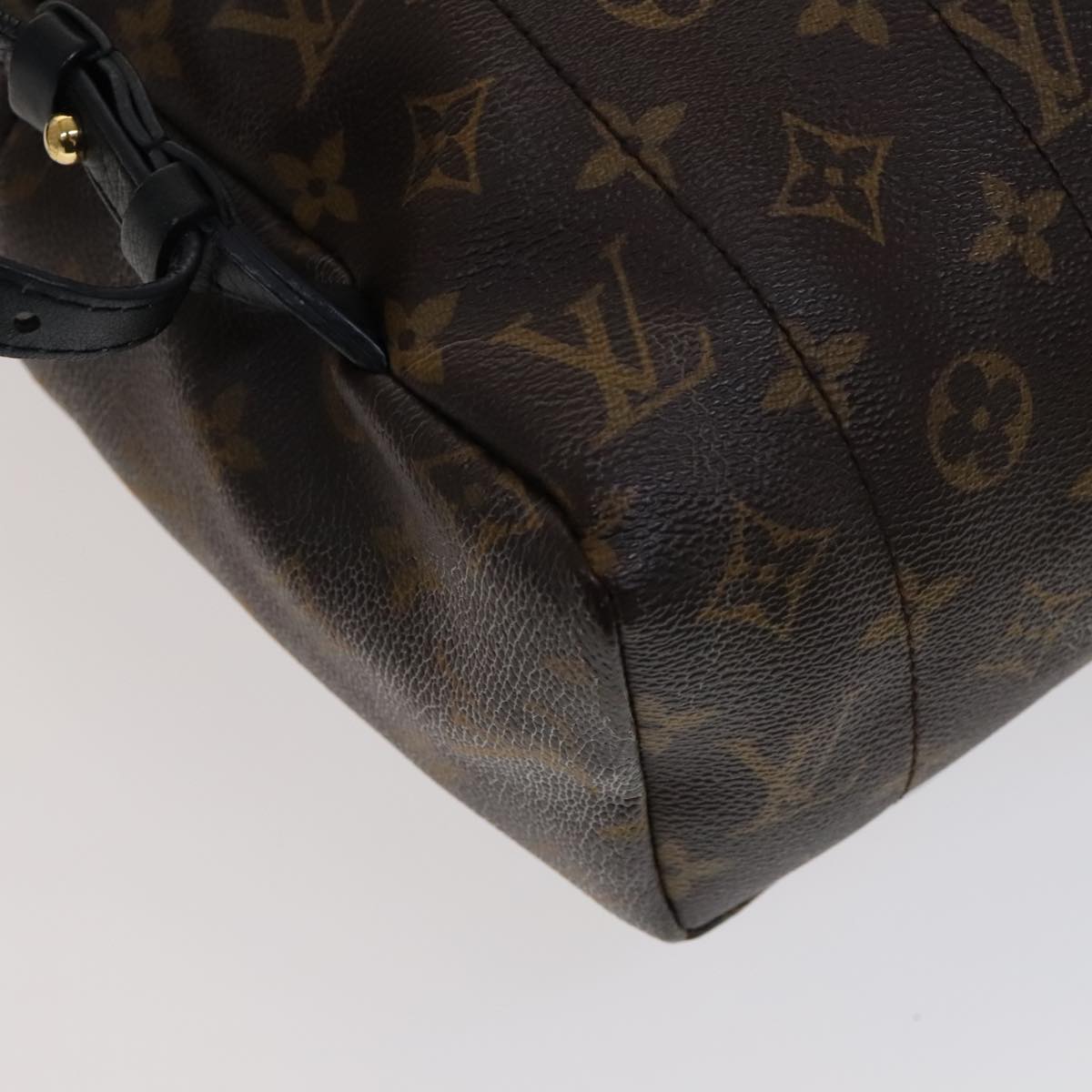 Louis Vuitton Palm Springs MM