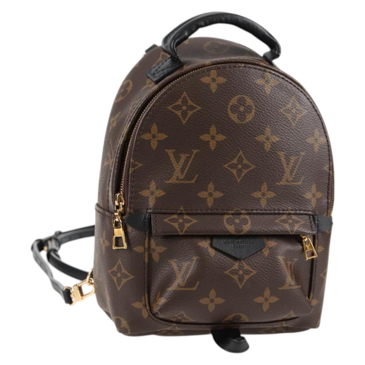 Louis Vuitton Palm Springs mini
