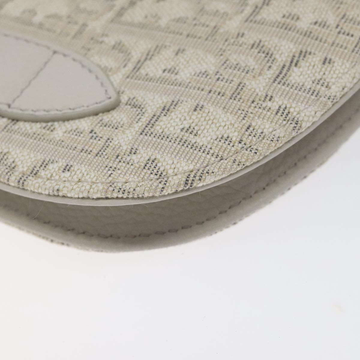 Dior Saddle Dior Oblique