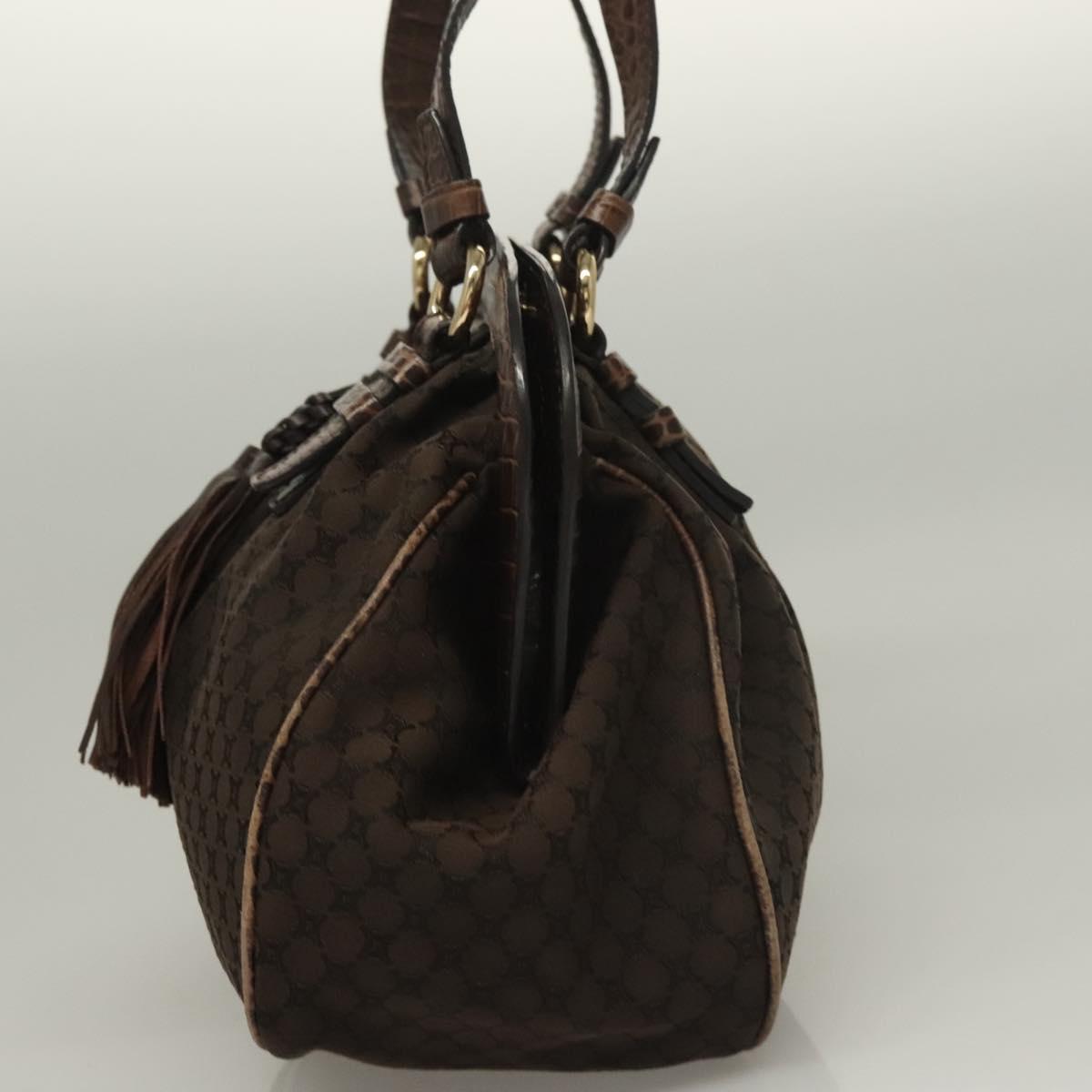 Céline Tassels