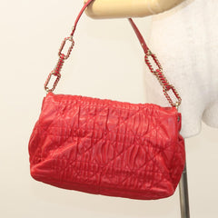 Dior Cannage Lady