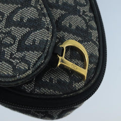 Dior Saddle
