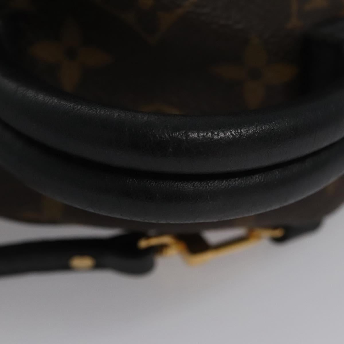 Louis Vuitton Palm Springs mini