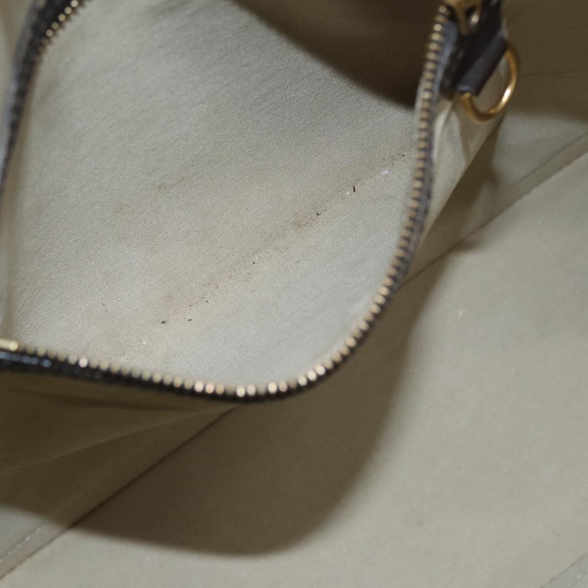 Louis Vuitton Alma long
