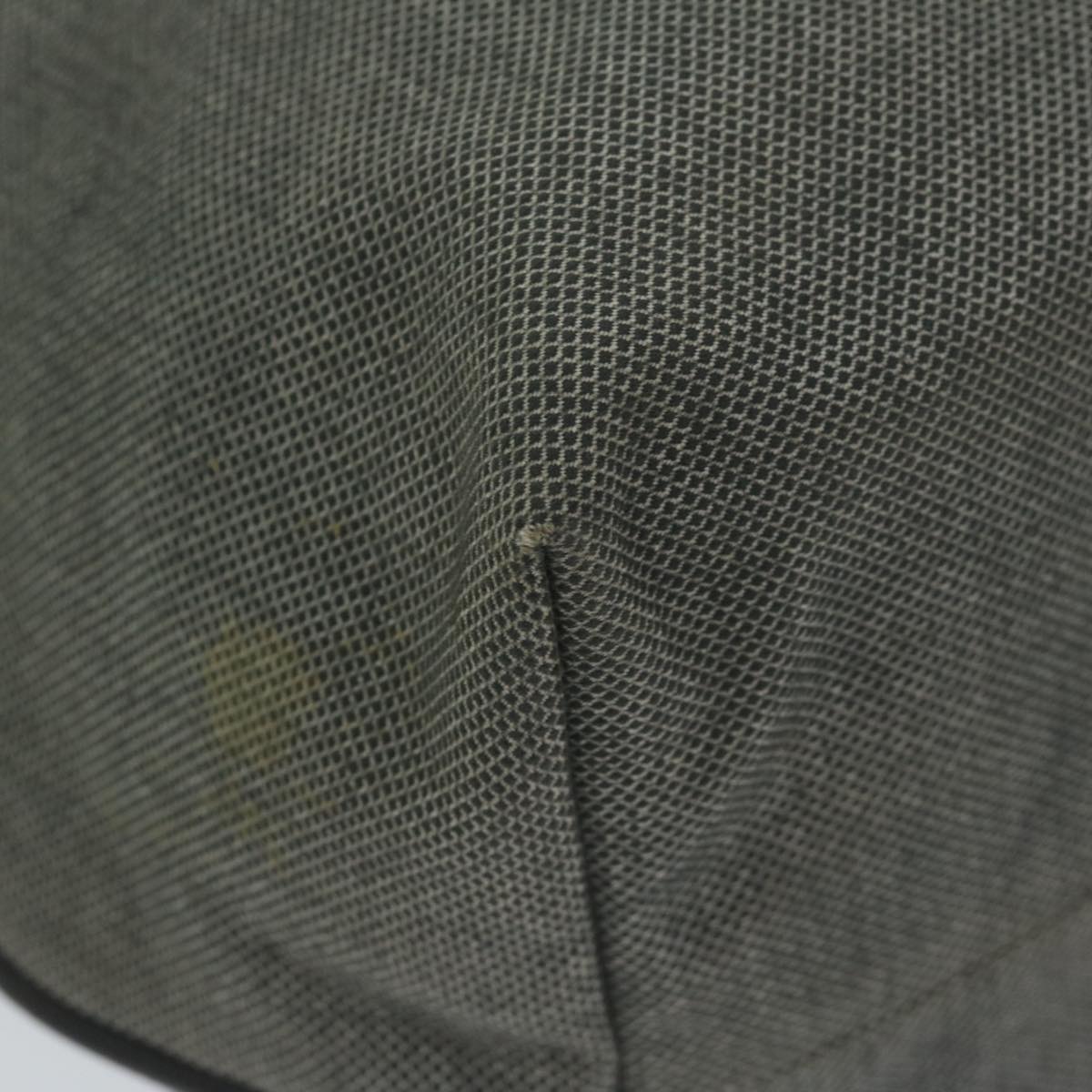 Bottega Veneta Cabas
