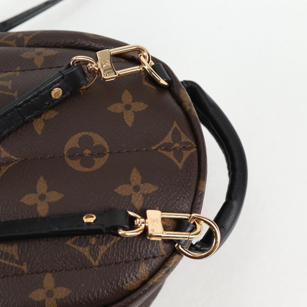 Louis Vuitton Palm Springs mini