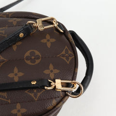 Louis Vuitton Palm Springs mini