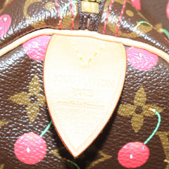 Louis Vuitton Speedy 25