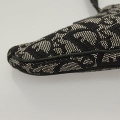 Dior Saddle