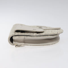 Dior Saddle Dior Oblique