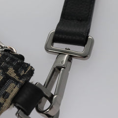 Dior Trotter