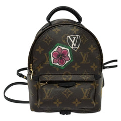 Louis Vuitton Palm Springs mini