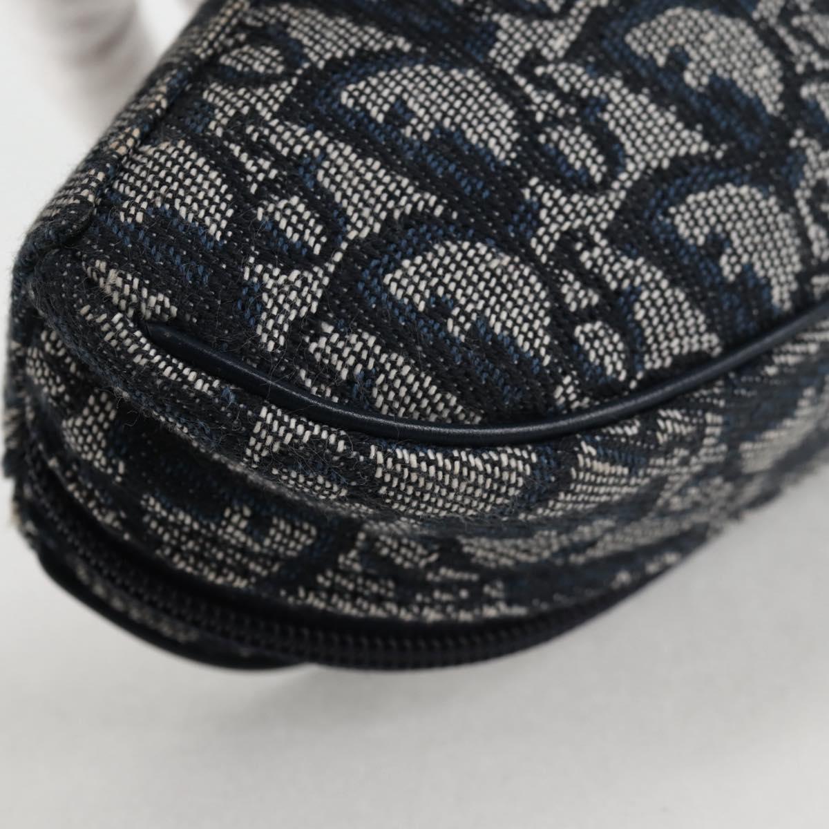 Dior Saddle