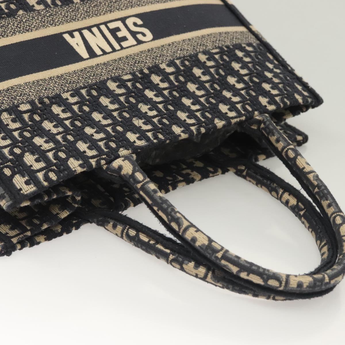 Dior Book Tote