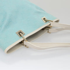 Gucci GG canvas