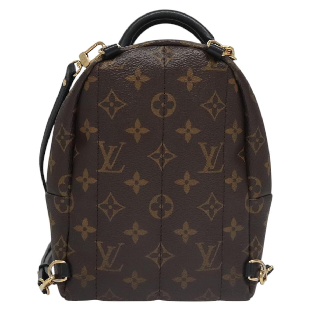 Louis Vuitton Palm Springs mini