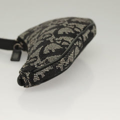 Dior Saddle