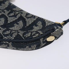 Dior Saddle