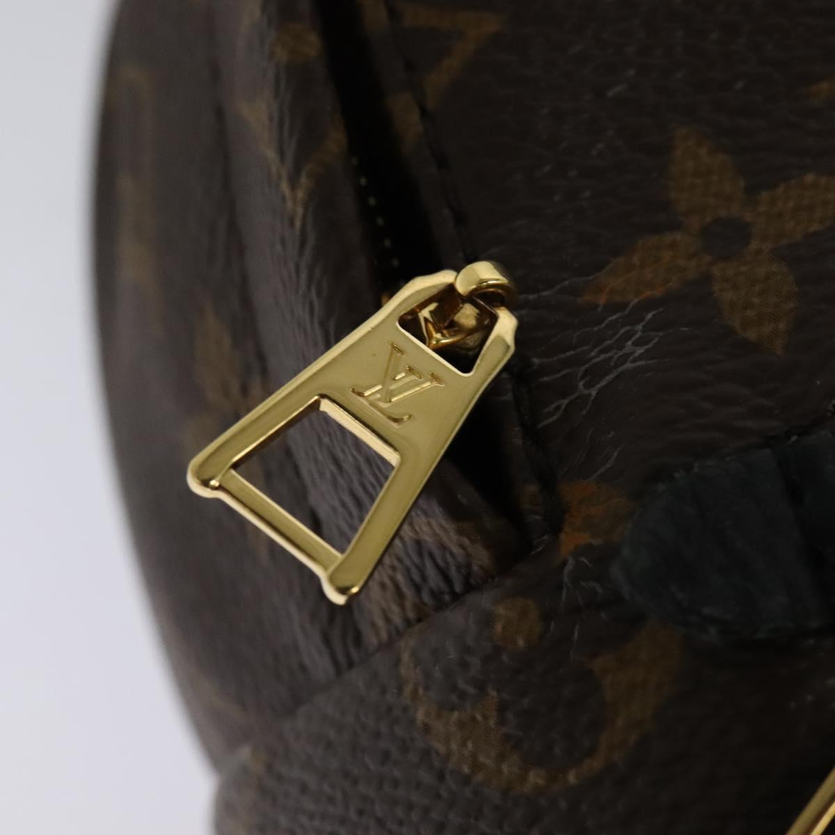 Louis Vuitton Palm Springs mini