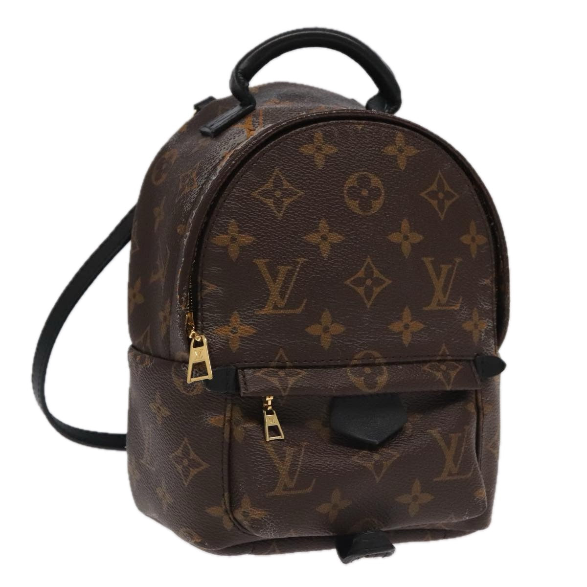 Louis Vuitton Palm Springs mini