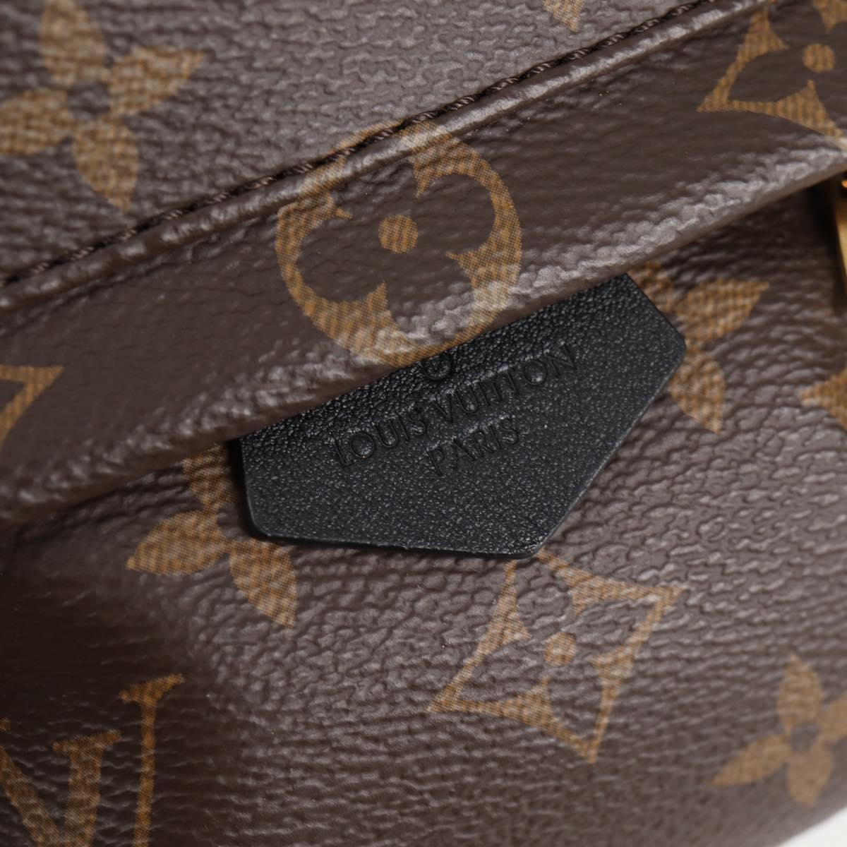 Louis Vuitton Palm Springs mini