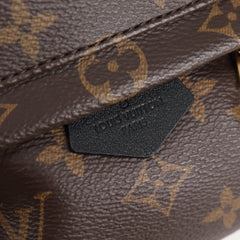 Louis Vuitton Palm Springs mini