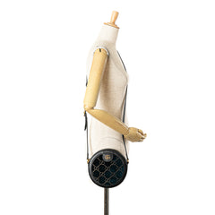 GG Velvet Ophidia Round Crossbody