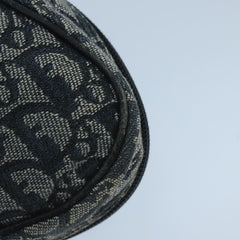 Dior Saddle