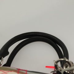 Dior Speedy