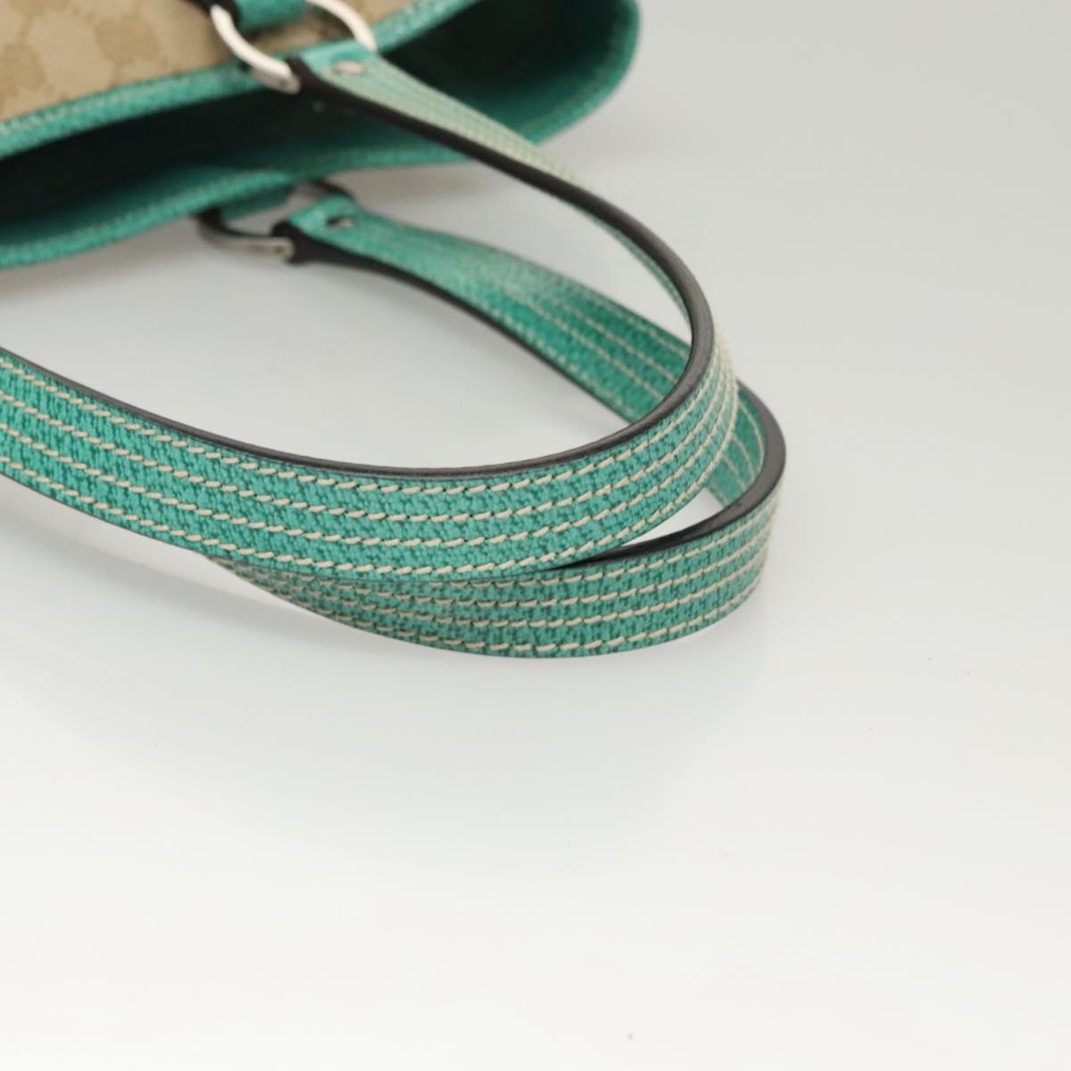 Gucci GG canvas