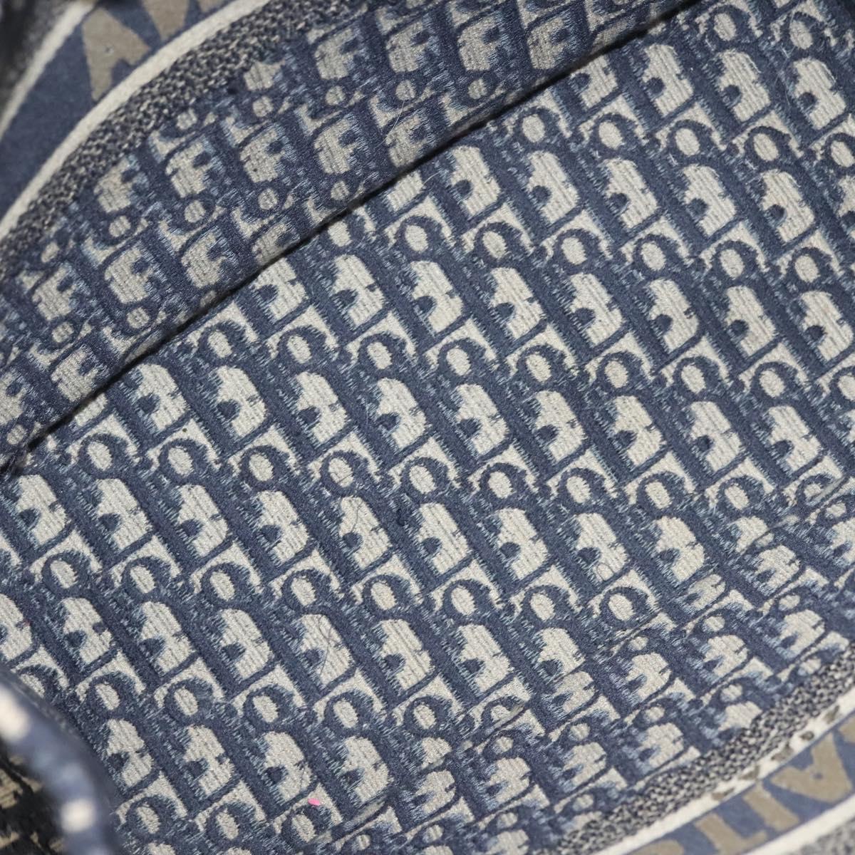Dior Book Tote