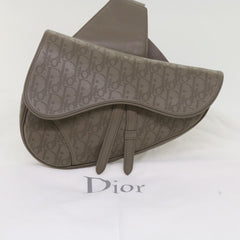 Dior Saddle