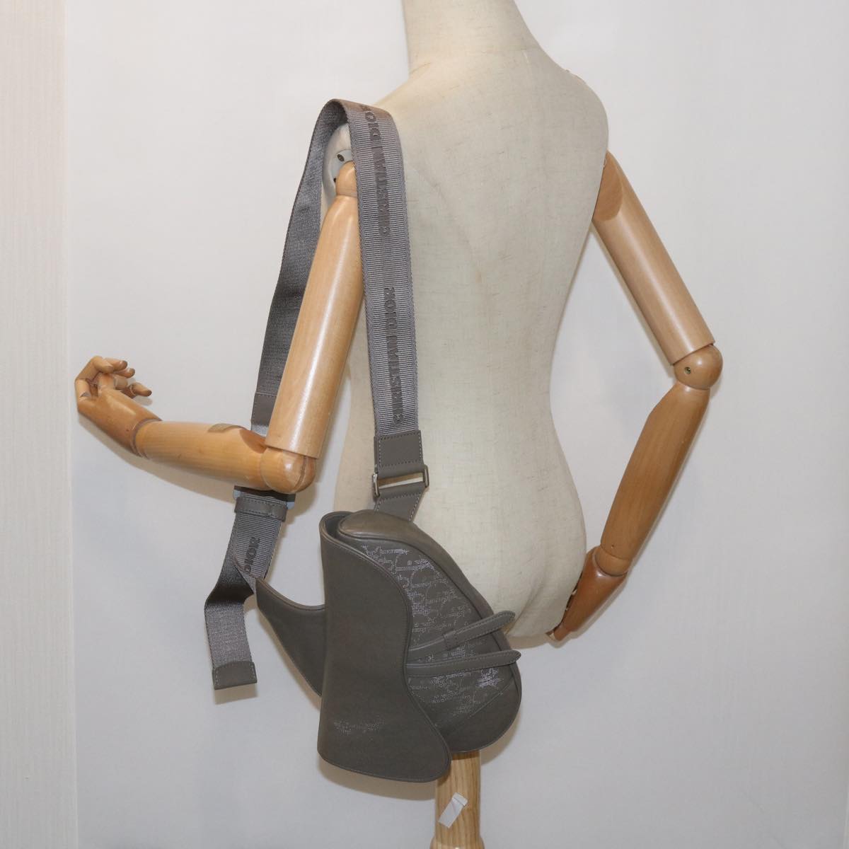 Dior Saddle