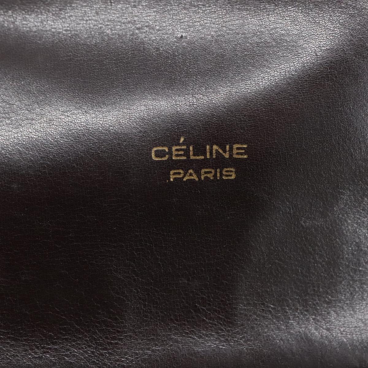 Céline Horse carriage