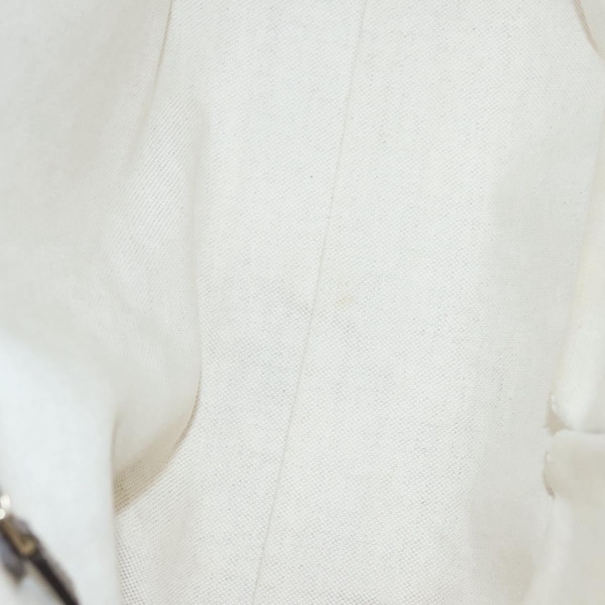 Gucci GG canvas