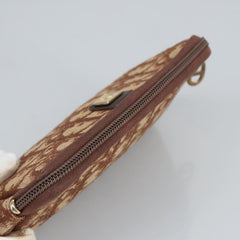 Dior Oblique