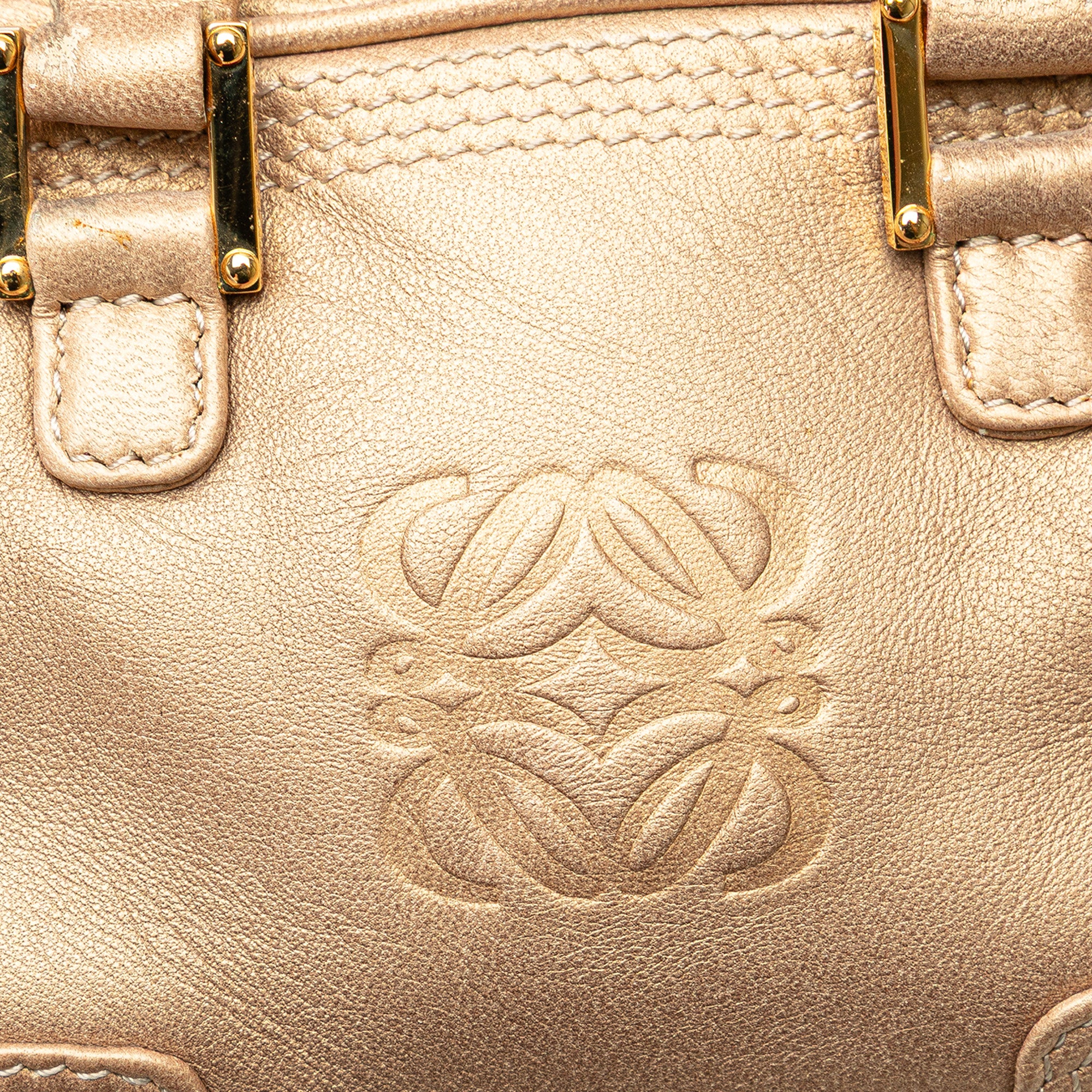 Micro Metallic Leather Amazona Satchel