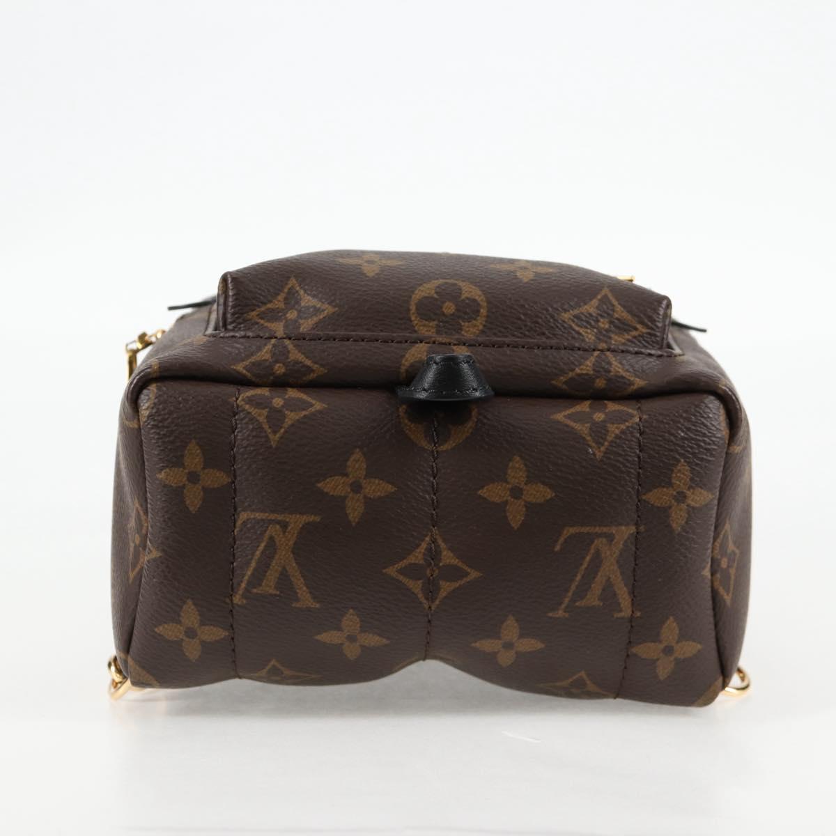 Louis Vuitton Palm Springs mini